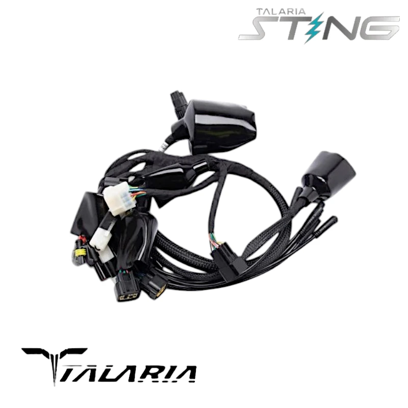 Faisceau électrique principal TALARIA Sting